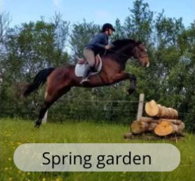 Des espaces adaptés au quotidien au Haras du Mel