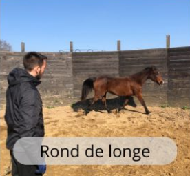 Un environnement varié au Haras du Mel