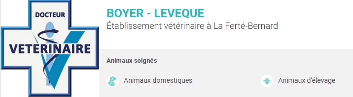 Logo Boyer-Levêque
