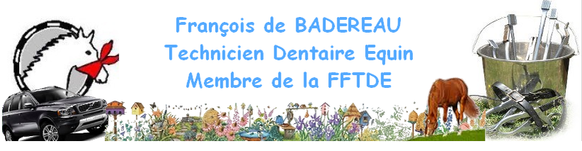 Logo François de Badereau